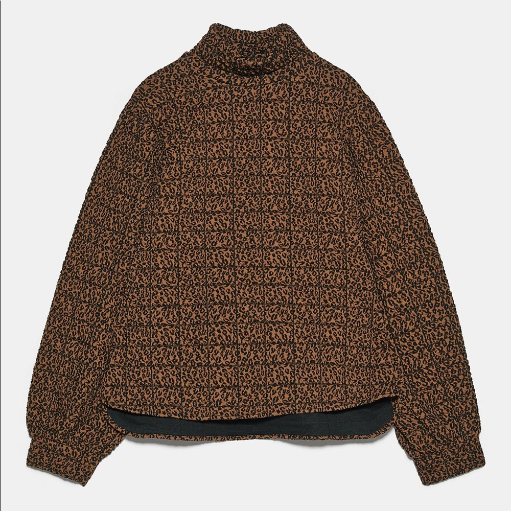 Zara Cheetah Sweater